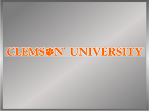Clemson University Strip