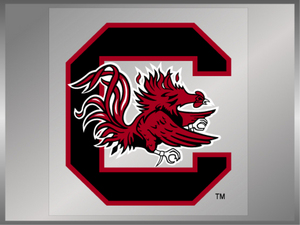 USC: Primary Logo 