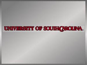 USC University Strip