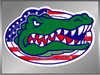 Gator Head Flag 