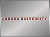 Auburn University Strip