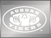 Auburn University: Tiger Eyes (White)