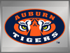 Auburn University:Tiger Eyes 