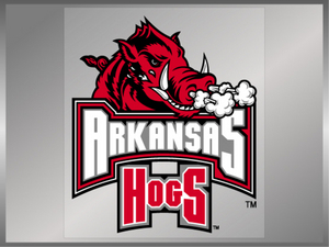 Arkansas Hogs