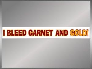 FSU: Bleed Garnet & Gold 