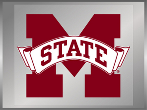 M-State Banner  
