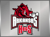Arkansas Hogs