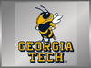 Georgia Tech w/ Buzz