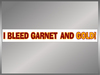 FSU: Bleed Garnet & Gold 