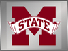M-State Banner  