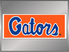 Gators: Orange Background 